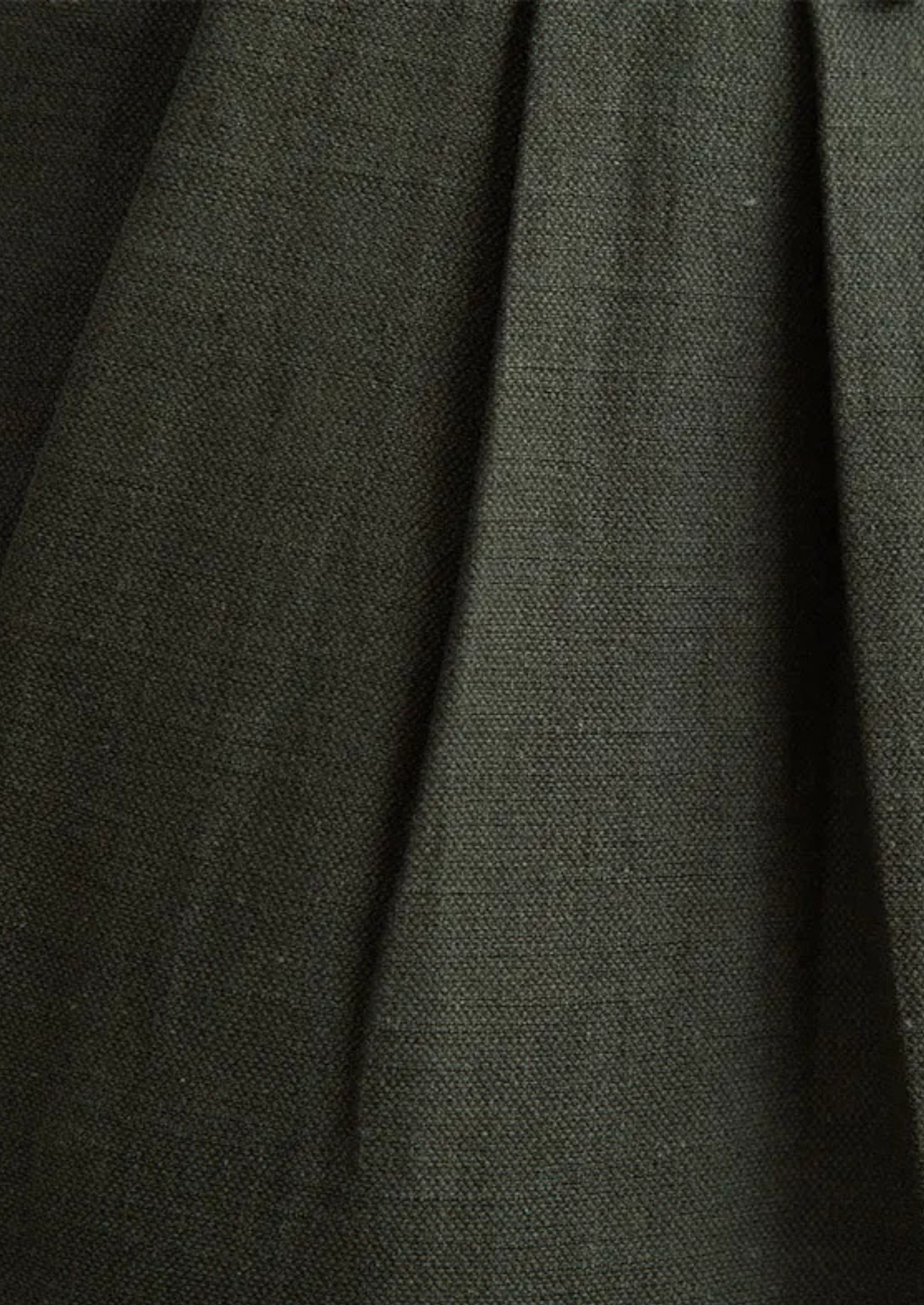 Napoli pantalones plisados costeros - Olivo